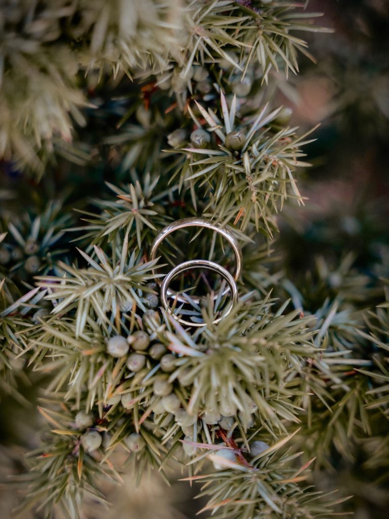 Hochzeitsfotograf Nagold Freudenstadt Horb am Neckar